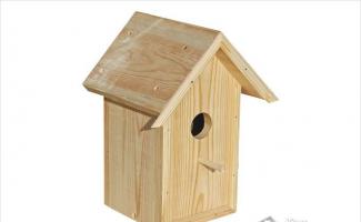 Do-it-yourself putty: how to create a reliable and handy birdhouse (61 photos)